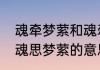 魂牵梦萦和魂牵梦绕的意思是一样吗　魂思梦萦的意思