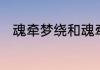 魂牵梦绕和魂牵梦萦的区别的读音