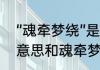 “魂牵梦绕”是什么意思　魂牵梦绕的意思和魂牵梦萦的意思一样吗