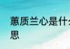 蕙质兰心是什么意思　蕙质兰馨的意思