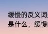 缓慢的反义词是什么　缓慢的近义词是什么，缓慢的反义词、同义词