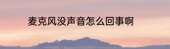 麦克风没声音怎么回事啊