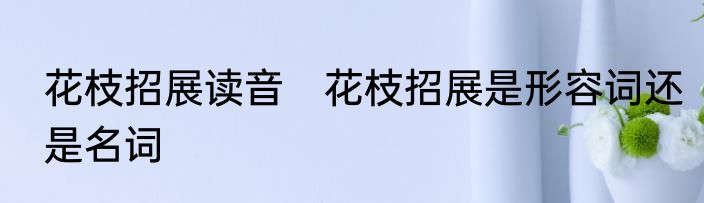 花枝招展读音　花枝招展是形容词还是名词