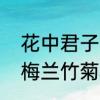 花中君子的下一句是什么　花中君子梅兰竹菊下一句是什么