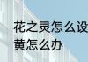 花之灵怎么设置中文　佛手掌叶子发黄怎么办