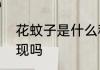 花蚊子是什么种类　花蚊子冬天还出现吗