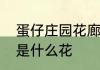 蛋仔庄园花廊怎么做　河滨公园花廊是什么花