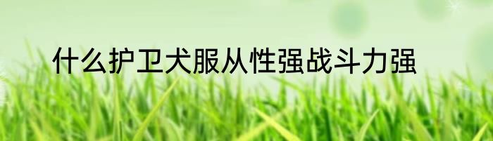 什么护卫犬服从性强战斗力强