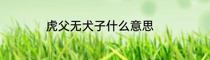 虎父无犬子什么意思