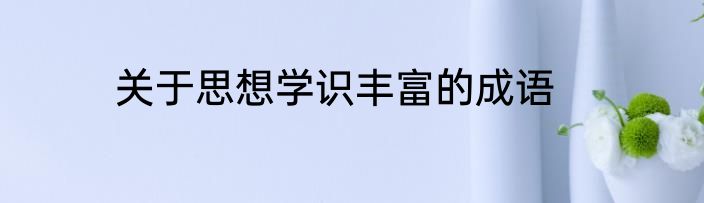 关于思想学识丰富的成语
