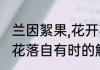 兰因絮果,花开花落自有时全诗　花开花落自有时的解释