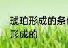 琥珀形成的条件和过程　琥珀是怎么形成的