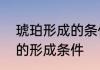 琥珀形成的条件和过程　第五课琥珀的形成条件