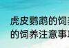 虎皮鹦鹉的饲养注意事项　虎皮鹦鹉的饲养注意事项