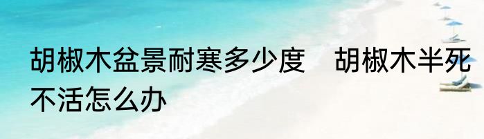 胡椒木盆景耐寒多少度　胡椒木半死不活怎么办