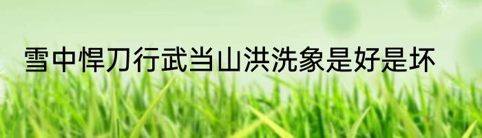 雪中悍刀行武当山洪洗象是好是坏