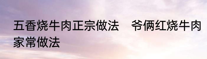 五香烧牛肉正宗做法　爷俩红烧牛肉家常做法