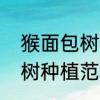 猴面包树分布地区气候特征　猴面包树种植范围