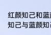 红颜知己和蓝颜是什么意思啊　红颜知己与蓝颜知己的定义、区别是什么