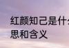 红颜知己是什么意思　红颜知己的意思和含义