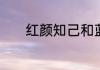 红颜知己和蓝颜知己哪个更近