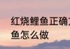 红烧鲤鱼正确方法十条　家常红烧鲤鱼怎么做
