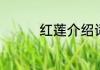 红莲介绍词　红莲是什么