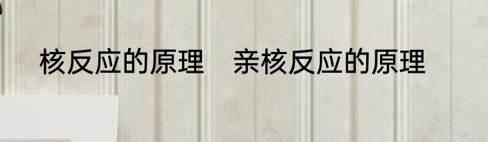 核反应的原理　亲核反应的原理