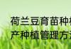 荷兰豆育苗种植方法　山东荷兰豆高产种植管理方法