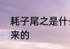耗子尾之是什么意思　耗子尾汁怎么来的