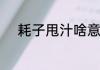 耗子甩汁啥意思　耗子尾汁读音