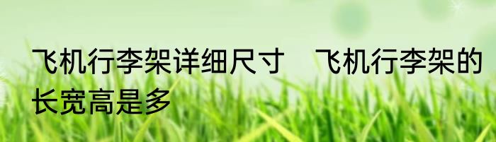 飞机行李架详细尺寸　飞机行李架的长宽高是多