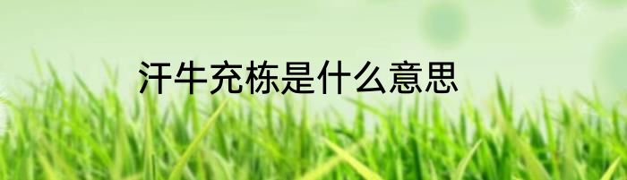 汗牛充栋是什么意思