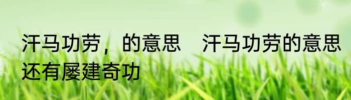 汗马功劳，的意思　汗马功劳的意思还有屡建奇功