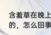 含羞草在晚上叶子有张开的还有合拢的，怎么回事
