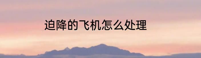 迫降的飞机怎么处理