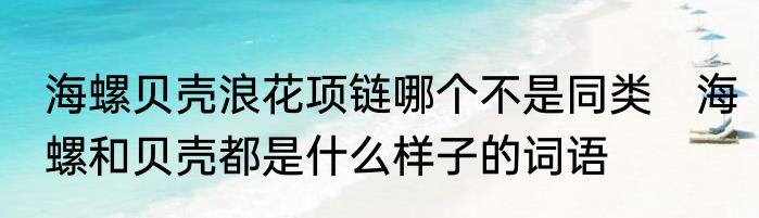 海螺贝壳浪花项链哪个不是同类　海螺和贝壳都是什么样子的词语