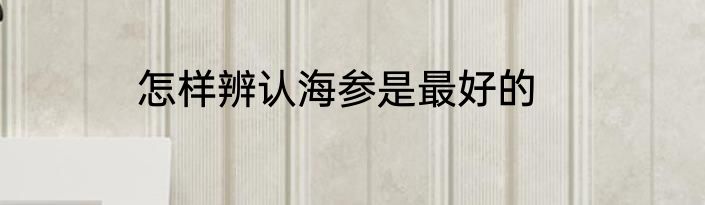 怎样辨认海参是最好的