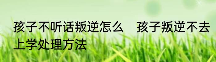 孩子不听话叛逆怎么　孩子叛逆不去上学处理方法