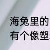 海兔里的墨可以吃吗　海兔的身体里有个像塑料条的东西是什么