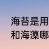 海苔是用什么海藻制作而成　吃海苔和海藻哪个更好