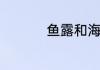 鱼露和海鲜酱油一样吧
