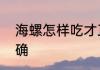 海螺怎样吃才正确　海螺怎样吃才正确