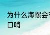 为什么海螺会有声音　海螺怎么做成口哨
