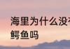 海里为什么没有鳄鱼　大海里面也有鳄鱼吗