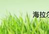 海拉尔穿衣攻略