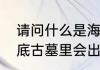 请问什么是海猴子　海猴子是什么海底古墓里会出现的海猴子