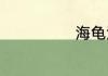 海龟汤游戏介绍
