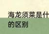 海龙须菜是什么植物　海发菜与海菜的区别