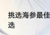 挑选海参最佳方法　海参干货怎么挑选